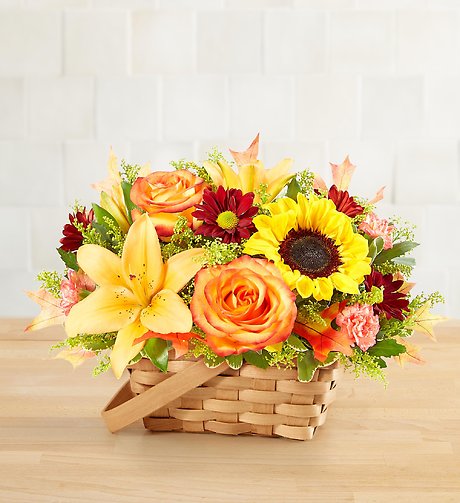 Fields of Europe&reg; for Fall Basket
